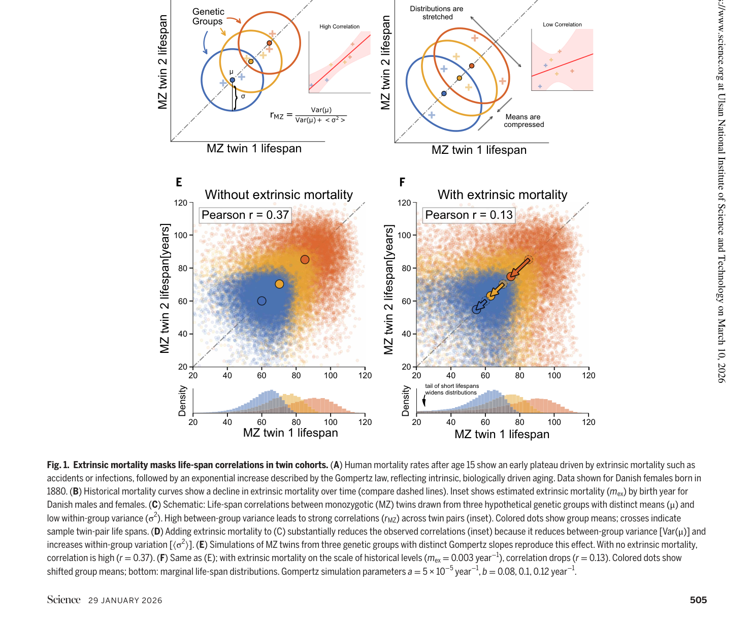 Fig. 1 - 외인성 사망률이 쌍둥이 수명 상관관계를 낮춘다