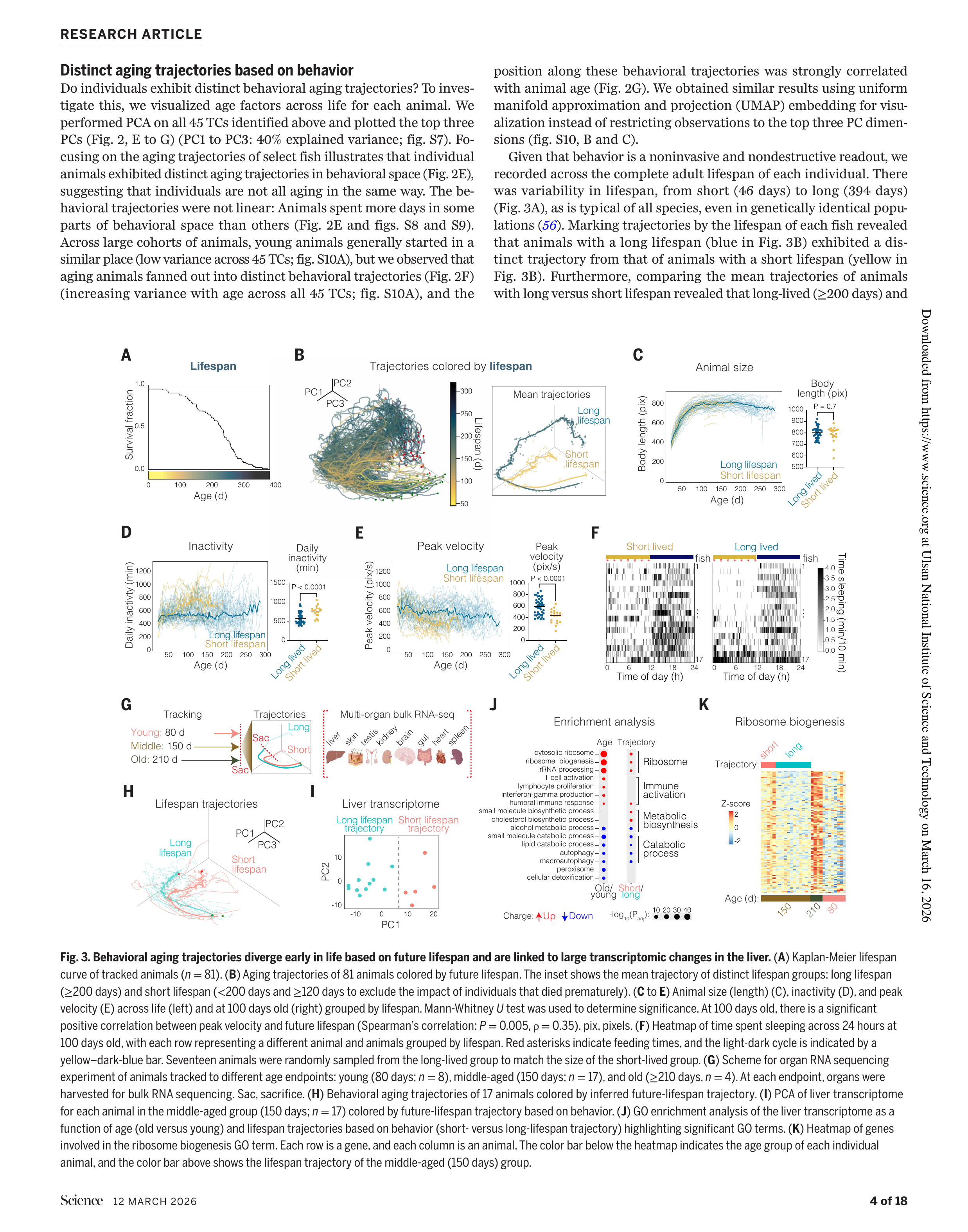 수명별 궤적과 전사체