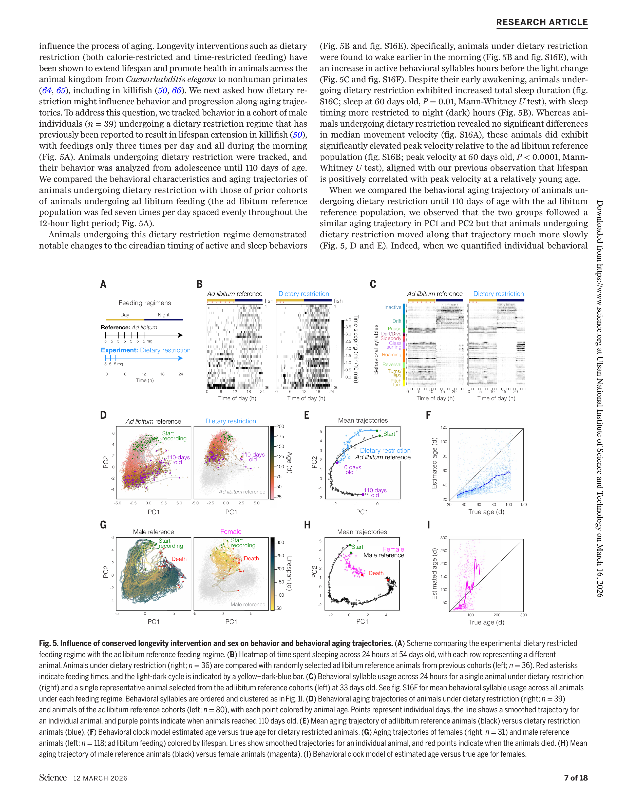 식이 제한과 성별 차이