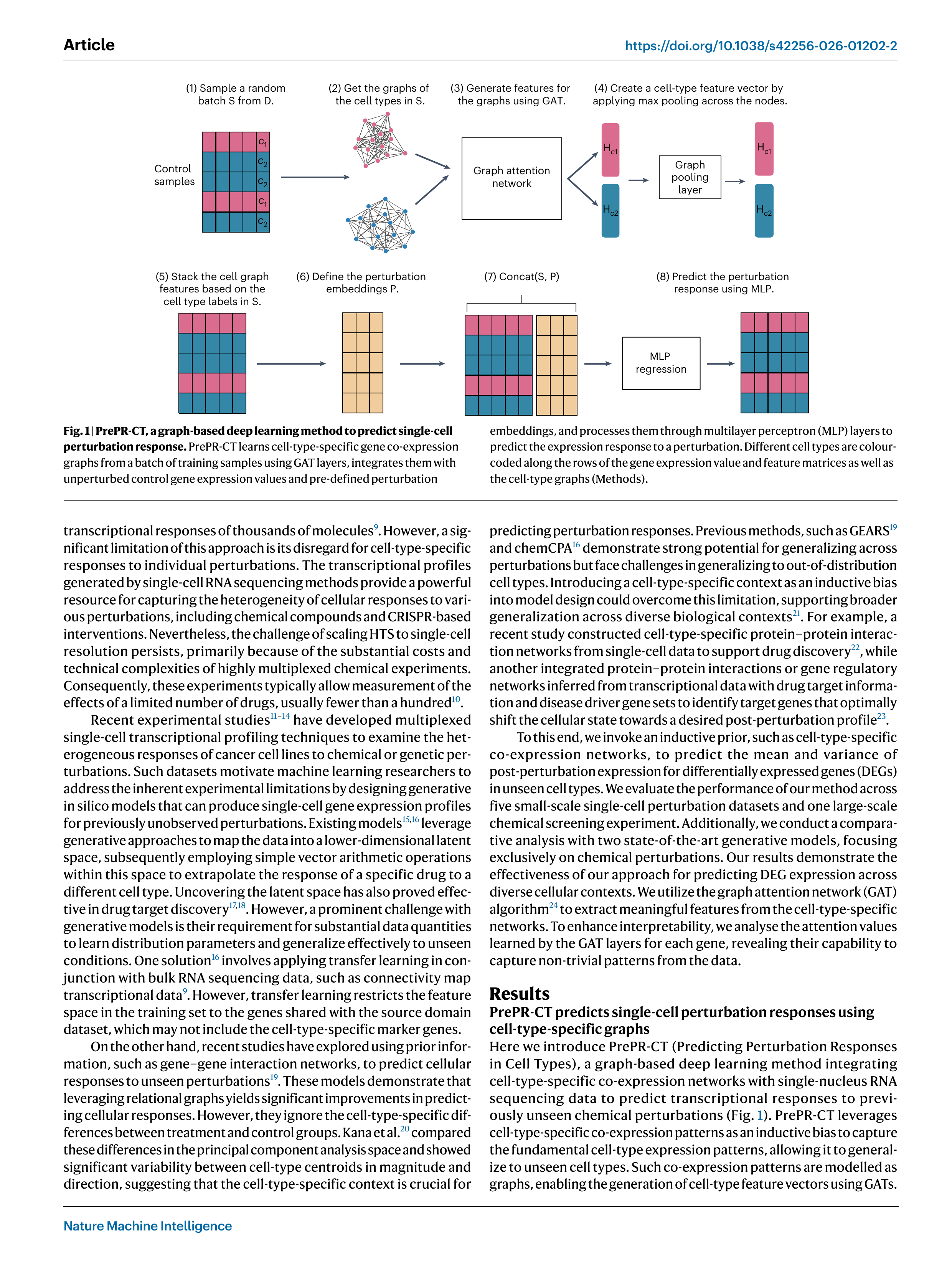 PrePR-CT 모델 아키텍처